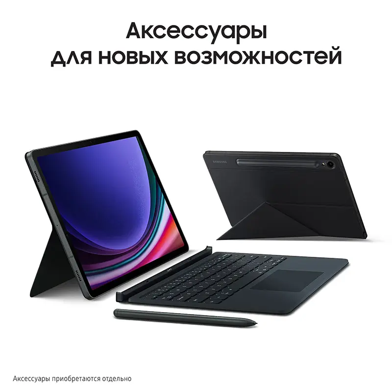 Galaxy Tab S9 Plus grafit13