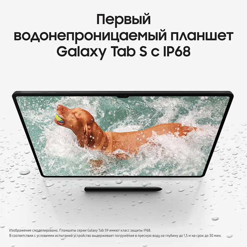 Galaxy Tab S9 Plus grafit8