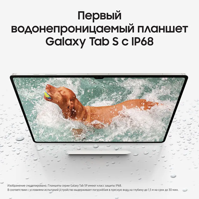 GalaxyTabS9-bezhevyj8