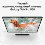 GalaxyTabS9-grafit8