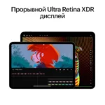 iPad-Pro-M4-11-chernyj-kosmos10