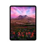 iPad-Pro-M4-11-chernyj-kosmos13
