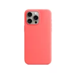 iPhone15 Pro Max_chekhol