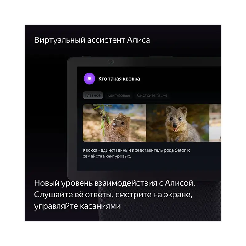 yandeks-stanciya-duo-maks-s-alisoj-zelyonyj_5